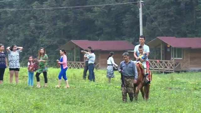 公益相親平臺(tái)，搭建愛(ài)的橋梁，助力幸福人生，公益相親平臺(tái)，搭建愛(ài)的橋梁，共創(chuàng)幸福人生之旅