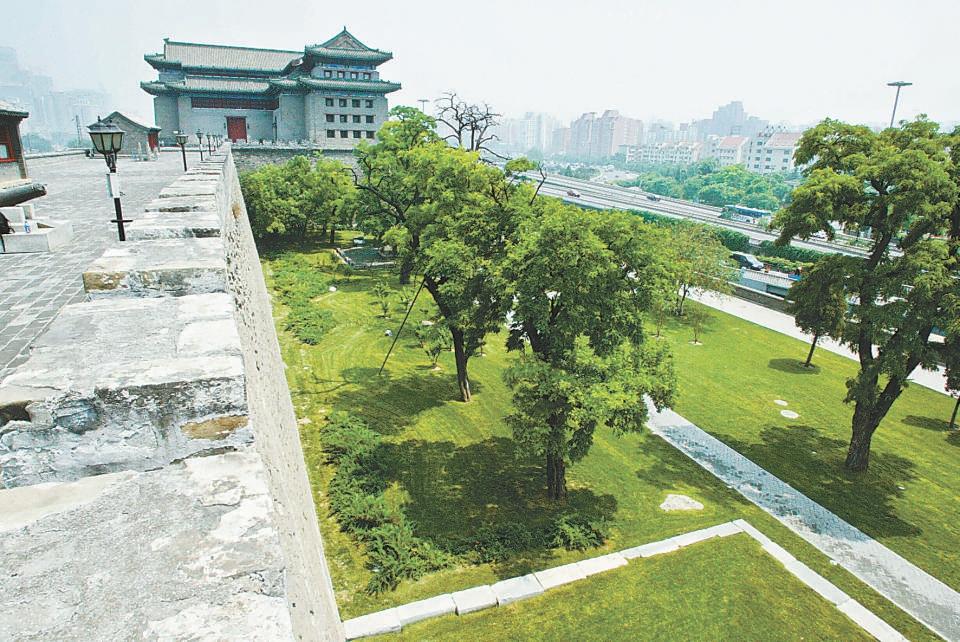 北京哪個(gè)公園最值得去，探尋城市綠肺的奧秘，探尋北京城市綠肺，哪個(gè)公園最值得一游？