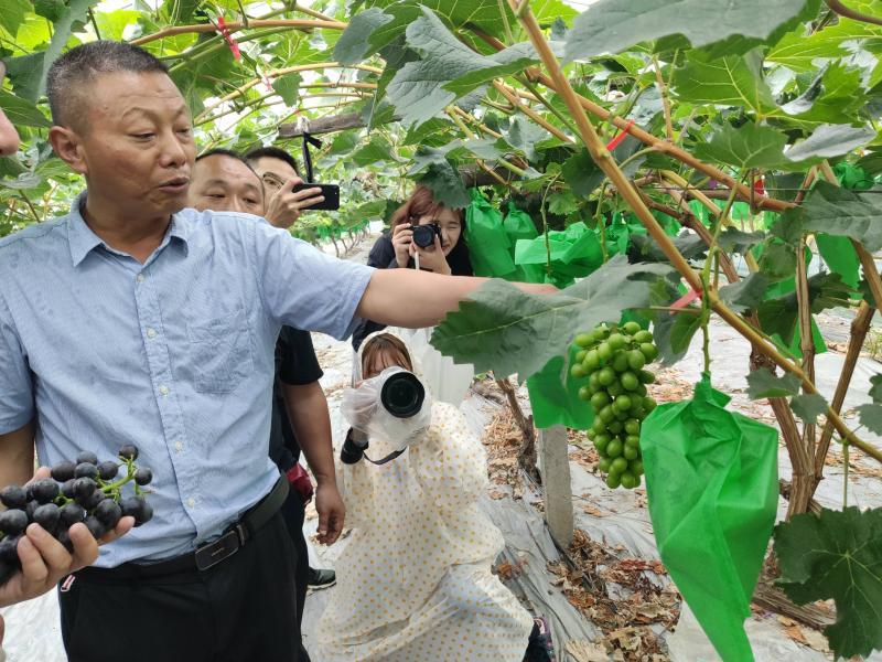 上海正規(guī)的相親網(wǎng)，連接真摯心靈的橋梁，上海正規(guī)相親網(wǎng)，真摯心靈的連接橋梁