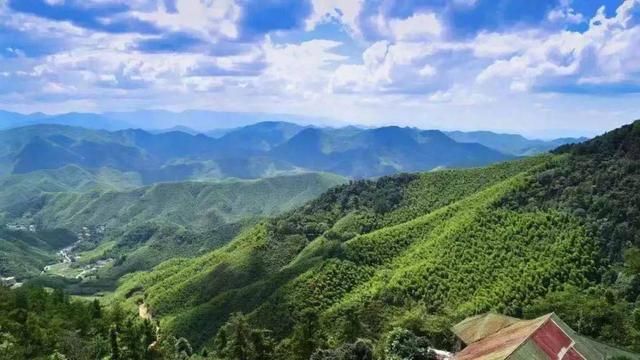 莫干山風(fēng)景名勝區(qū)，自然與人文的絕美交融，莫干山風(fēng)景名勝區(qū)，自然與人文的絕美交融之旅