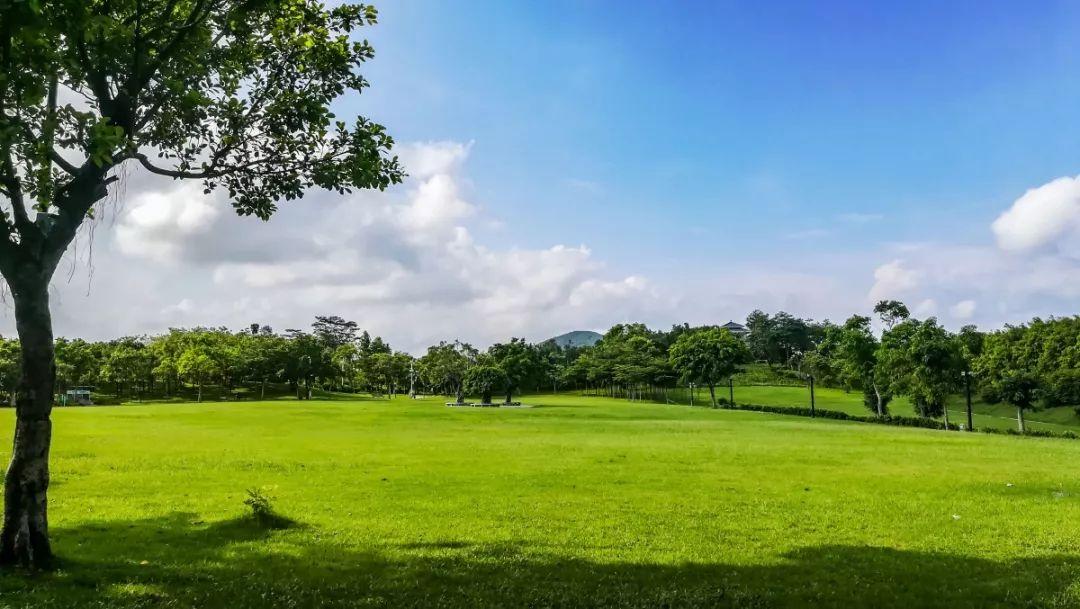 深圳免費景點，探索城市之美，深圳免費景點探秘，感受城市之美