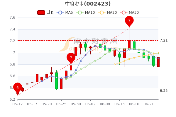 中糧股票（代碼，600030）行情深度解析，中糧股票（代碼，600030）行情深度解讀