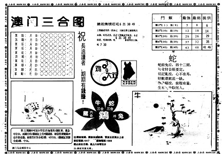 王中王與肖碼中的特殊一，探索與解析，王中王與肖碼中的特殊一，深度探索與解析