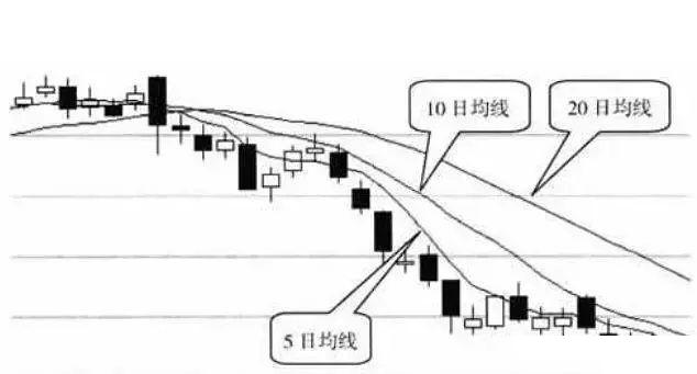 股票知識大全，入門、進階與高級投資技巧，股票知識入門、進階與高級投資技巧全解析