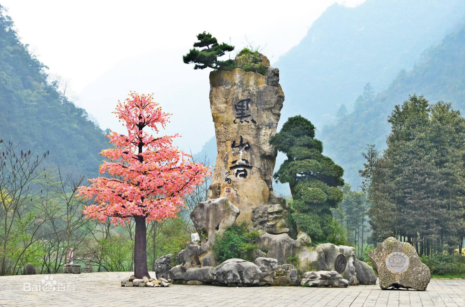 黑山谷景區(qū)，自然之美的獨特展現(xiàn)，黑山谷景區(qū)，自然之美的獨特展現(xiàn)