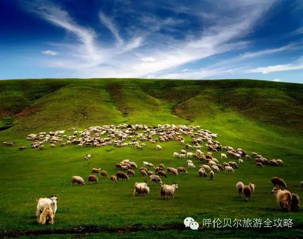 呼倫貝爾草原自由行旅游攻略，呼倫貝爾草原自由行全攻略，暢游草原之旅