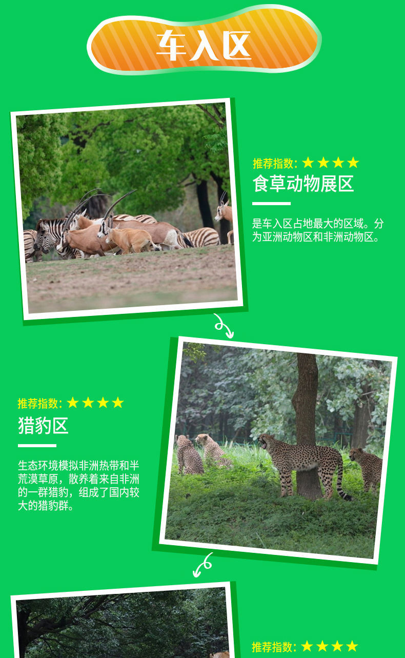 上海野生動物園票價詳解，價格、優(yōu)惠及購票攻略，上海野生動物園票價詳解，價格、優(yōu)惠與購票攻略全攻略